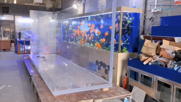 Is a Glass or Plastic Fish Tank Better