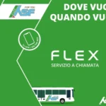 Is Green or Clear Fishing Line Better