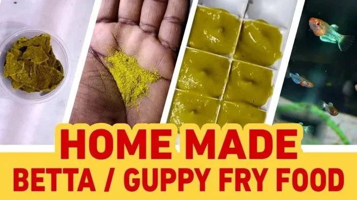 How Do You Make Homemade Betta Fish Food