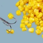 Is Hominy Better Than Corn for Fish Bait