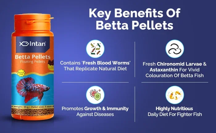 How Big Are Betta Fish Pellets