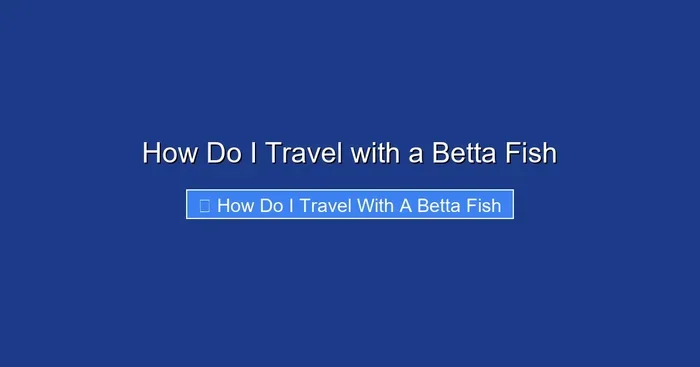 How Do I Travel with a Betta Fish
