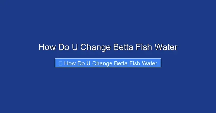 How Do U Change Betta Fish Water