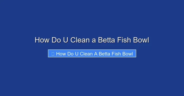 How Do U Clean a Betta Fish Bowl