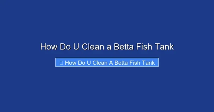 How Do U Clean a Betta Fish Tank