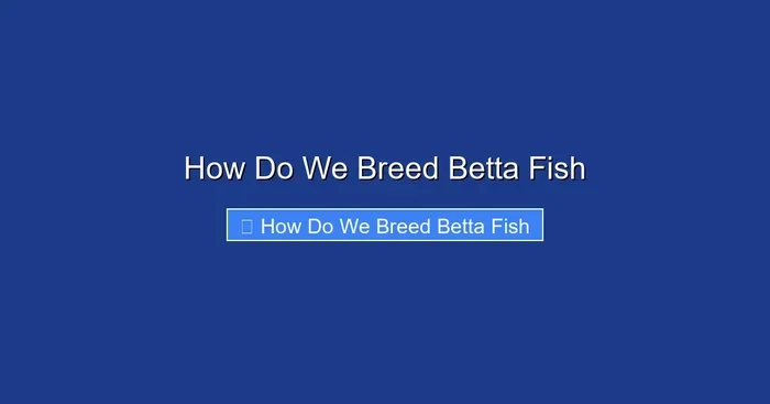 How Do We Breed Betta Fish