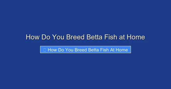 How Do You Breed Betta Fish at Home