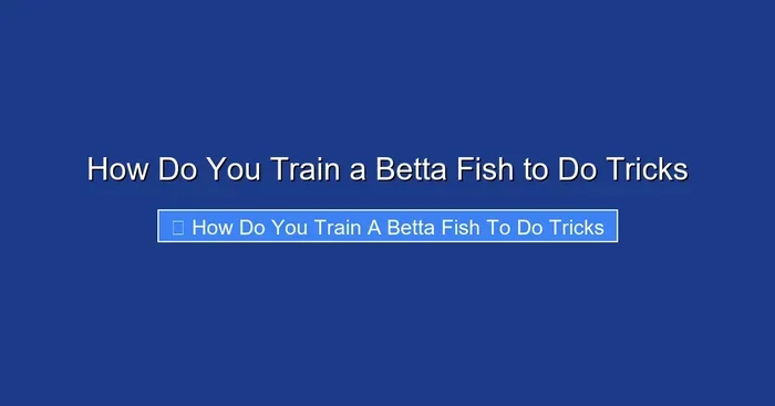 How Do You Train a Betta Fish to Do Tricks