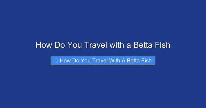 How Do You Travel with a Betta Fish