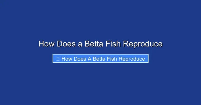 How Does a Betta Fish Reproduce