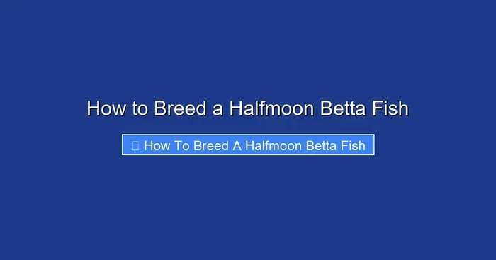 How to Breed a Halfmoon Betta Fish