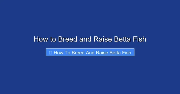 How to Breed and Raise Betta Fish