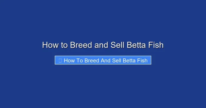 How to Breed and Sell Betta Fish