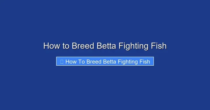How to Breed Betta Fighting Fish