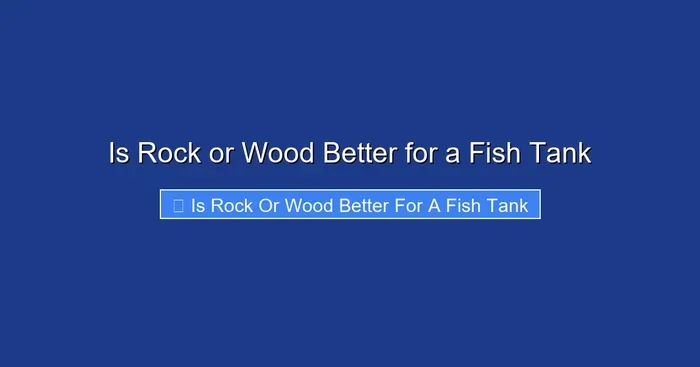Is Rock or Wood Better for a Fish Tank