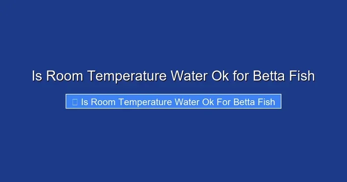 Is Room Temperature Water Ok for Betta Fish