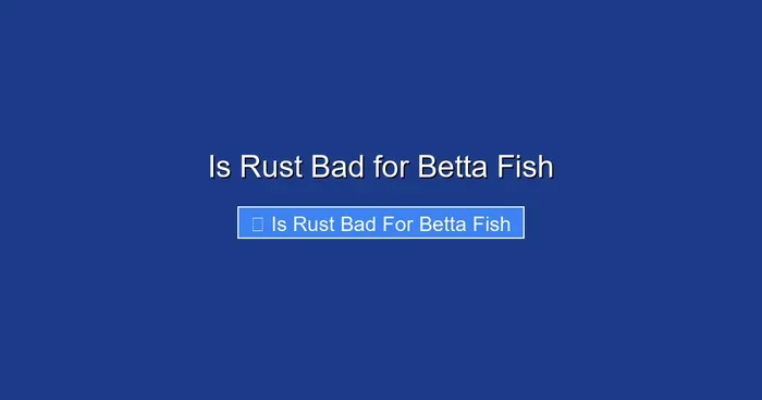 Is Rust Bad for Betta Fish