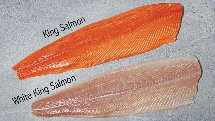 Is Salmon Better Than White Fish