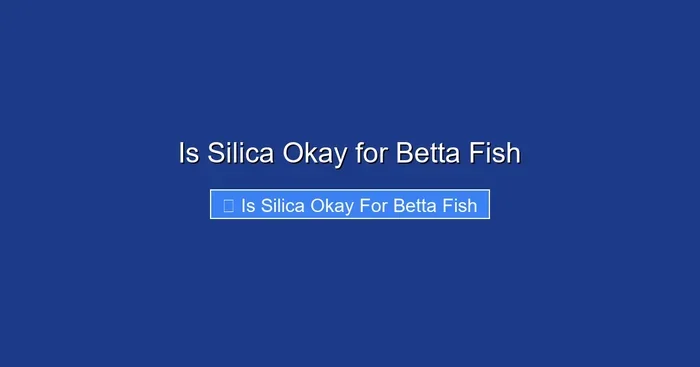 Is Silica Okay for Betta Fish
