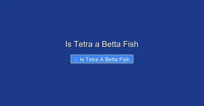 Is Tetra a Betta Fish