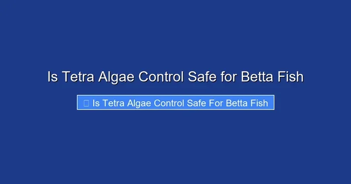 Is Tetra Algae Control Safe for Betta Fish