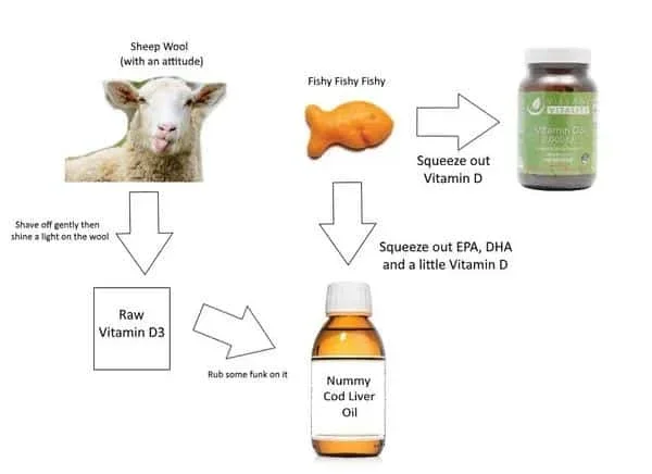 Is Vitamin D Better from Fish or Lanolin