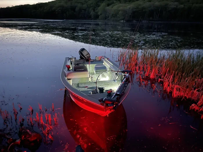 Is Night Fishing Better Than Daytime