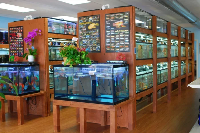 Is Petsmart or Petco Better Fish
