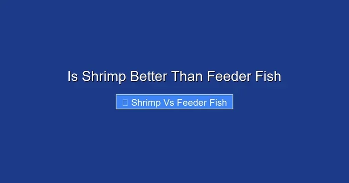 Is Shrimp Better Than Feeder Fish