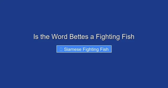 Is the Word Bettes a Fighting Fish