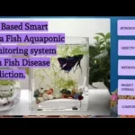 How Smart Are Betta Fish Compared to Humans
