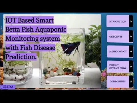 How Smart Are Betta Fish Compared to Humans