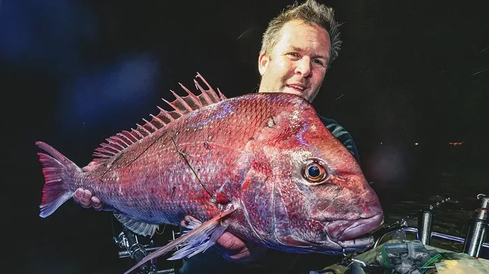 Is Snapper Fishing Better at Night