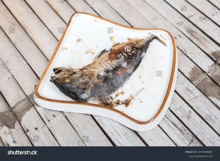 How Soon Will I Feel Better from Eating Bad Fish