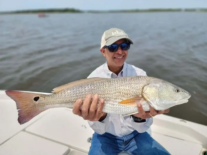 Is Neap Tide or Spring Tide Better for Fishing