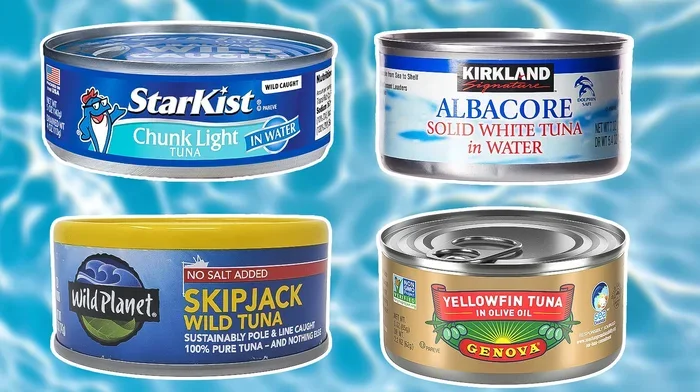 Is Tuna Fish Better in Oil or Water