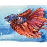 How to Paint Watercolor Betta Fish