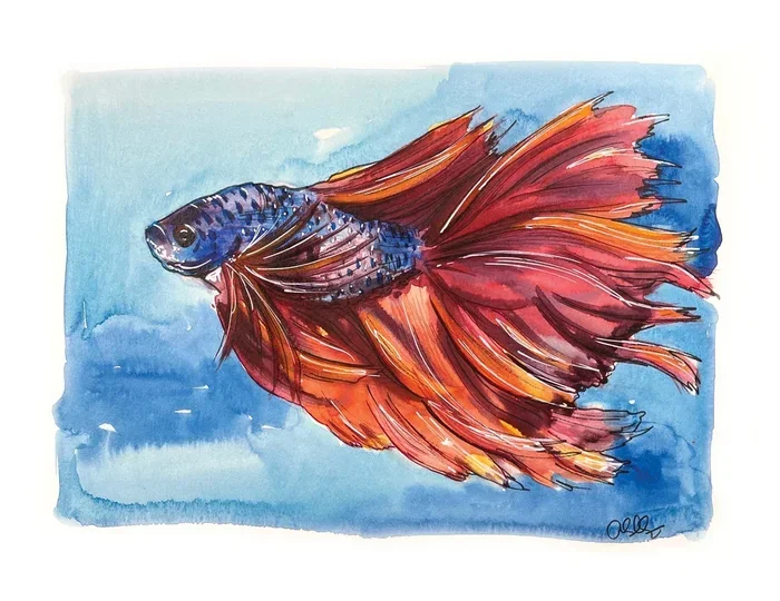 How to Paint Watercolor Betta Fish