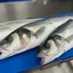 Is Wild Caught Fish Better Than Farmed