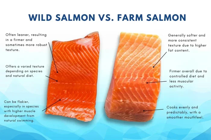 Is It Better to Eat Wild or Farmed Fish
